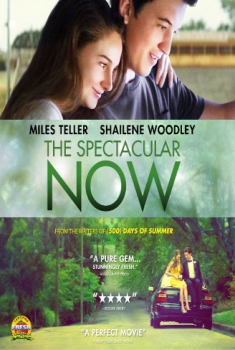  The Spectacular Now (2013) Poster 