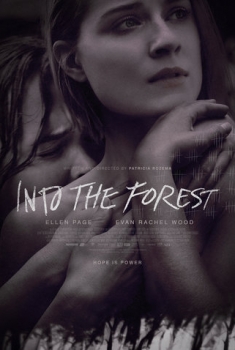  Into The Forest (2015) Poster 