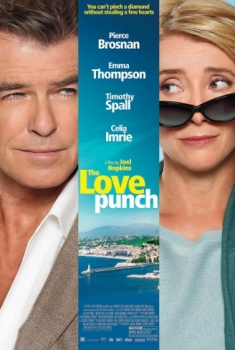  The Love Punch (2013) Poster 