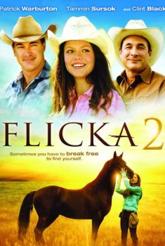  Flicka 2 - Amici per sempre (2010) Poster 