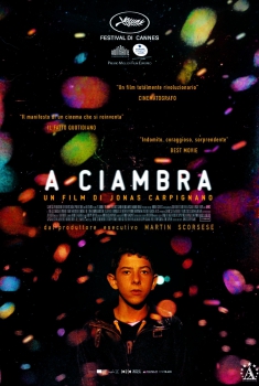  A Ciambra (2017) Poster 